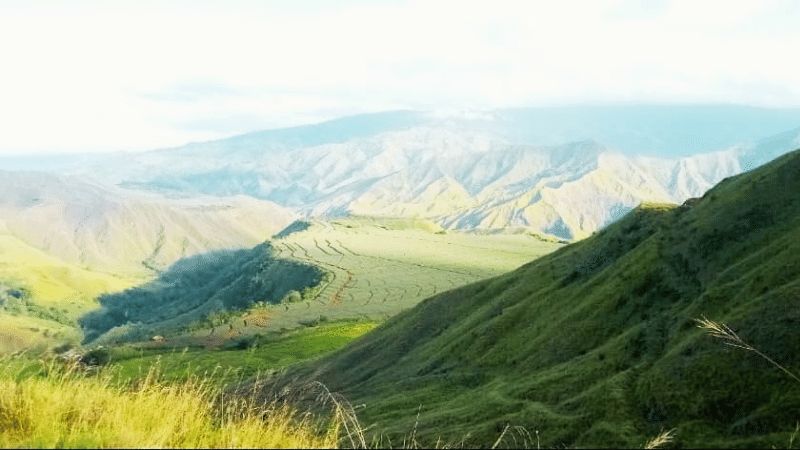Impasugong Bukidnon Philippines Ant Hill